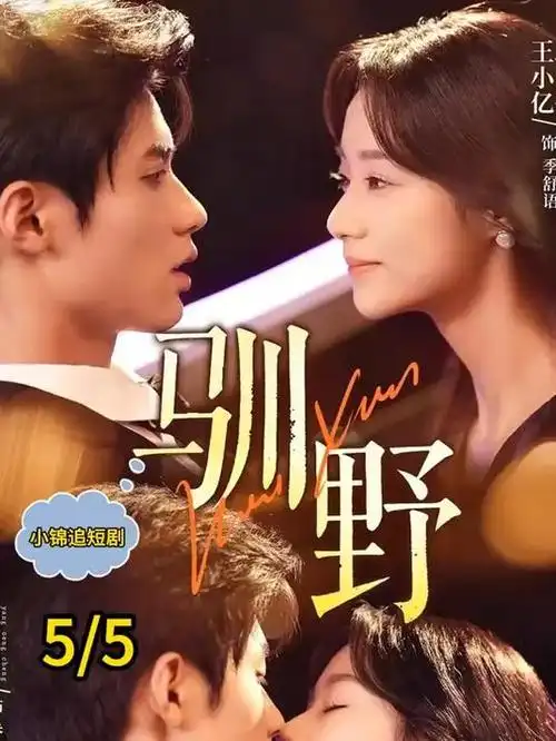 蓝莓视频资讯长剧集节奏分析